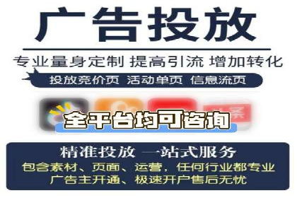 案例分享：SEO与SEM优化效果对比